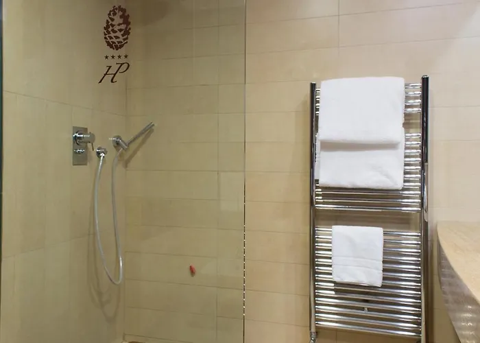 Pineta Wellness & 4*
