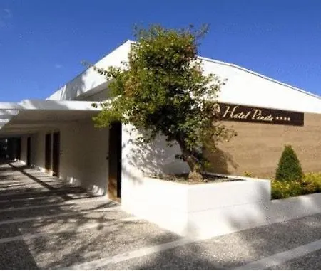 Pineta Wellness & 4*